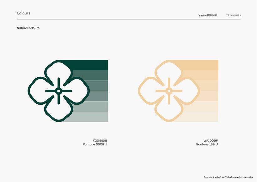Pass the North. Imagen corporativa 4