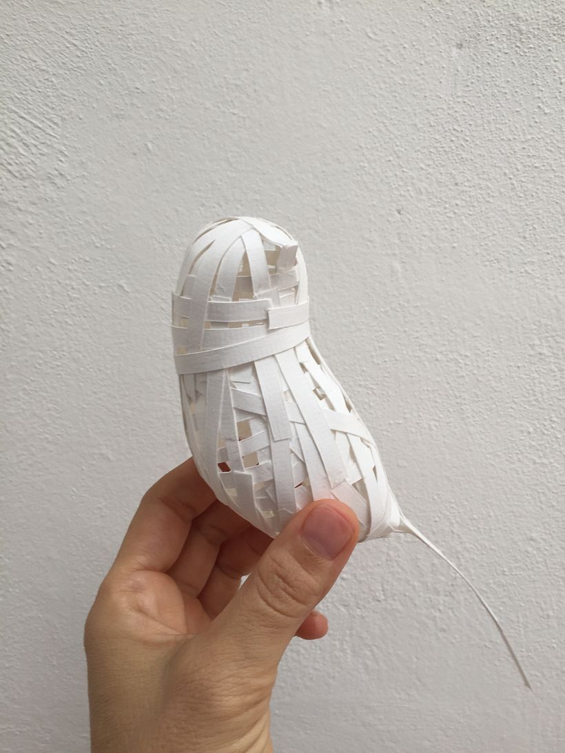 Mi Proyecto del curso: Aves en libertad 1