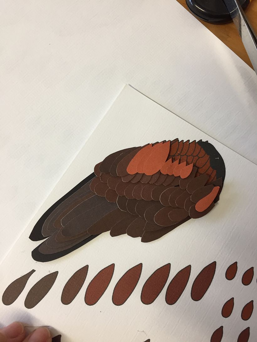 Mi Proyecto del curso: Aves en libertad 1