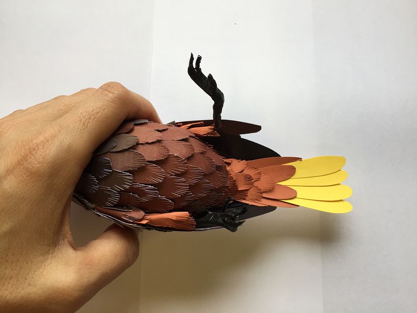 Mi Proyecto del curso: Aves en libertad 2
