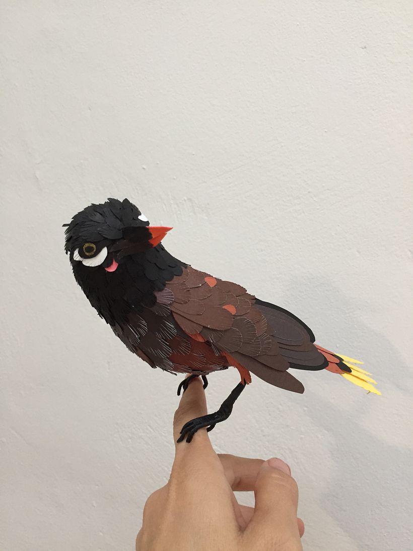 Mi Proyecto del curso: Aves en libertad 3