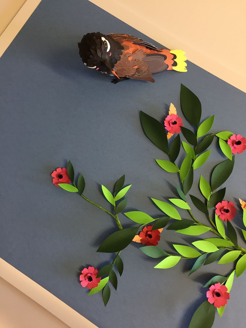 Mi Proyecto del curso: Aves en libertad 4