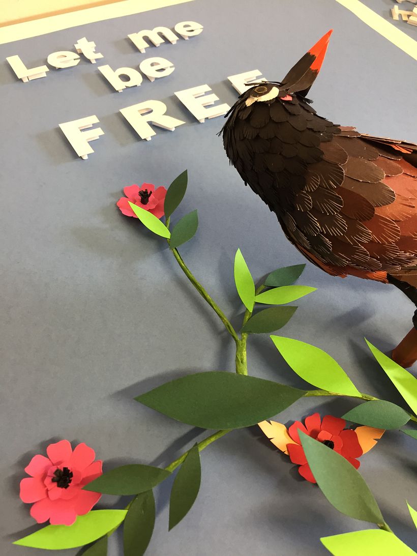 Mi Proyecto del curso: Aves en libertad 6