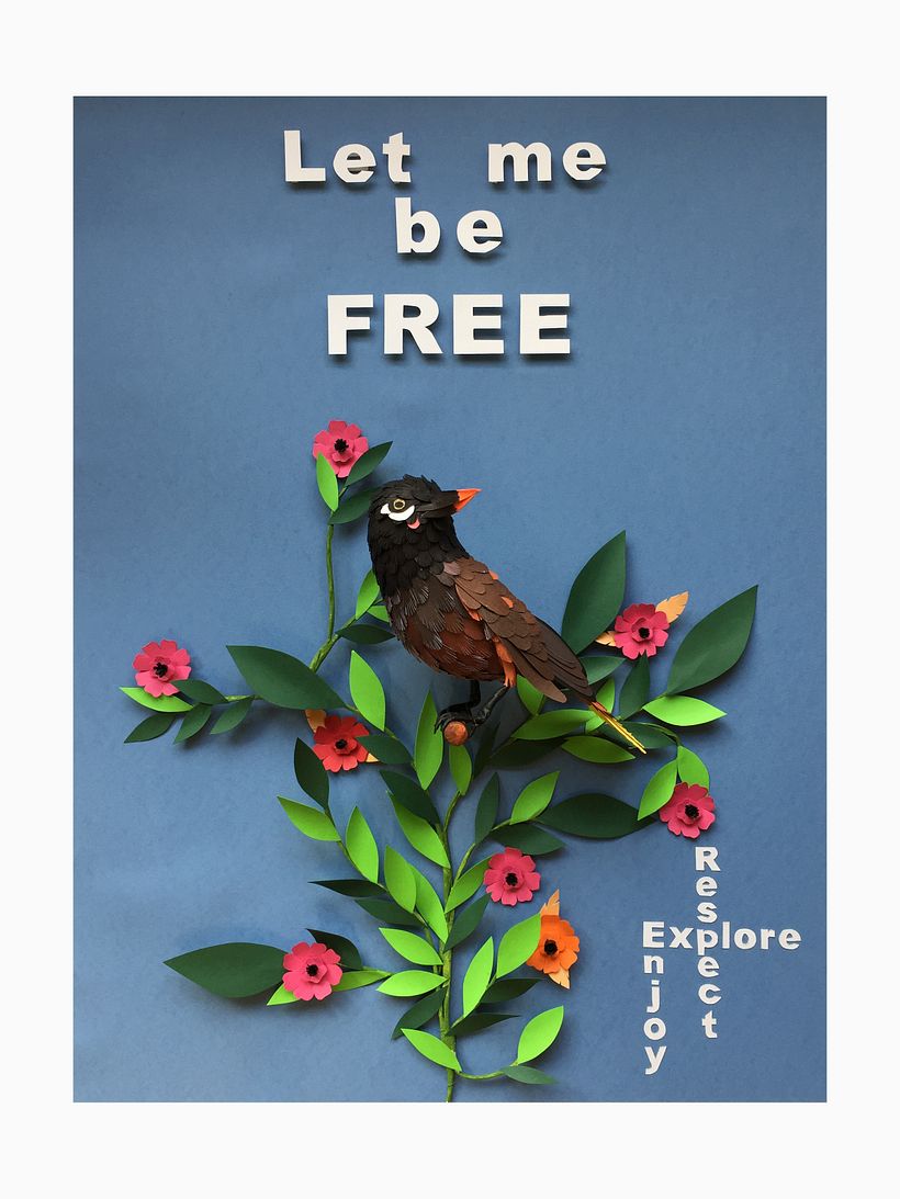 Mi Proyecto del curso: Aves en libertad 8
