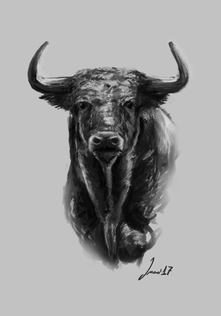 Toros 0
