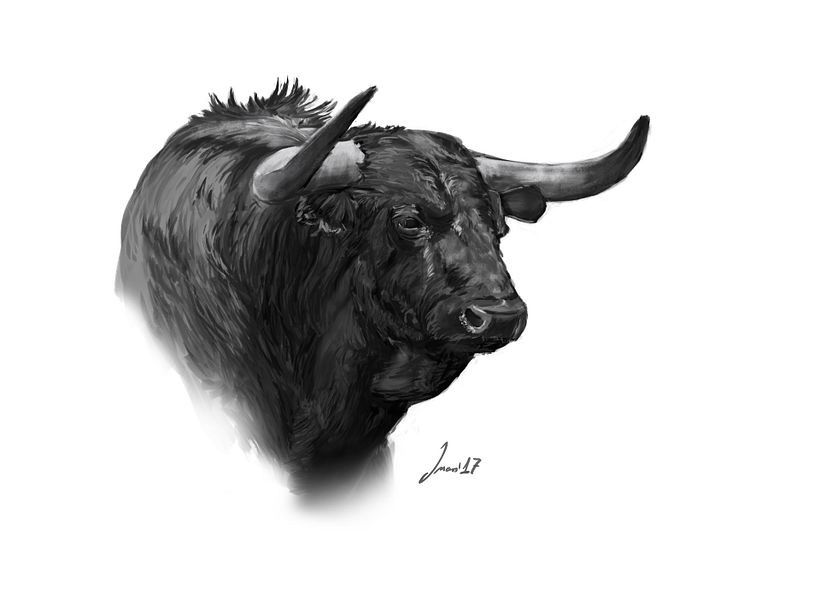 Toros 1