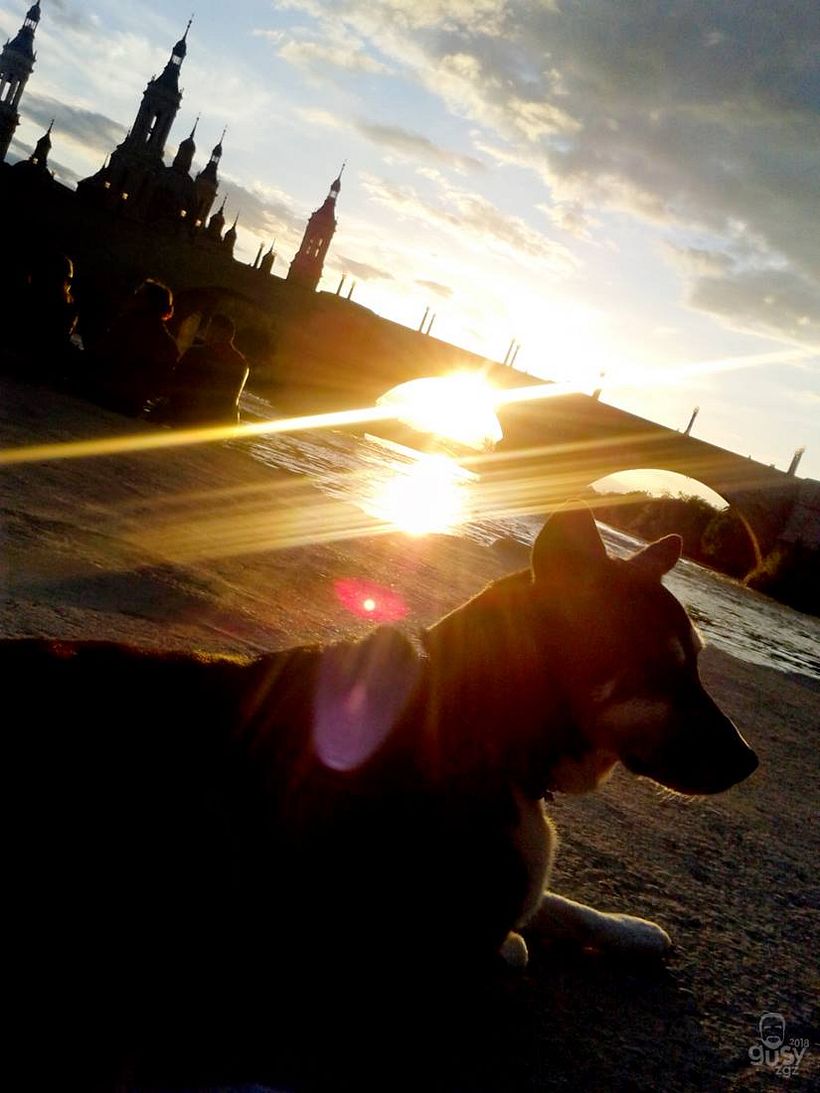 zArAgOzA. ciUdAd iNmOrTal 5