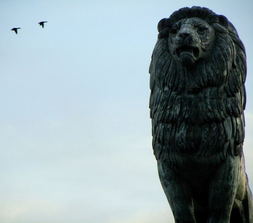 zArAgOzA. ciUdAd iNmOrTal 11