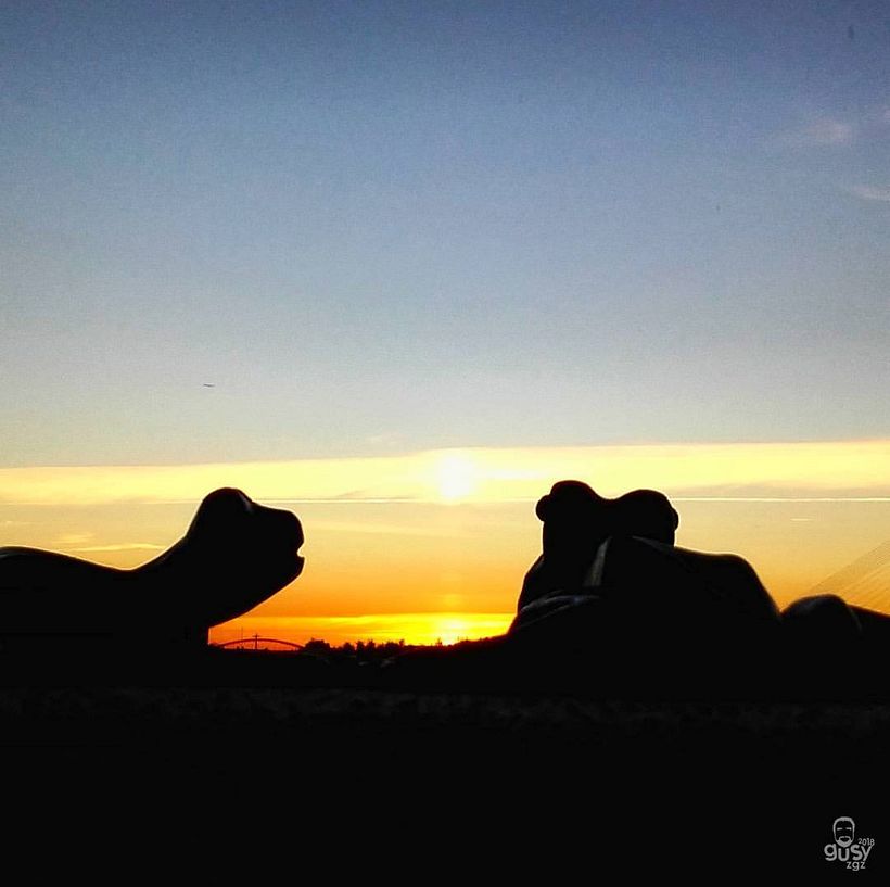 zArAgOzA. ciUdAd iNmOrTal 16