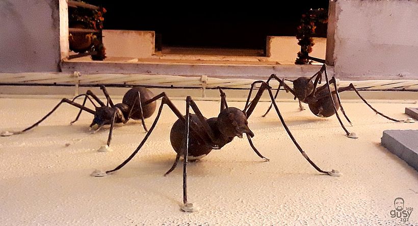 zArAgOzA. ciUdAd iNmOrTal 17