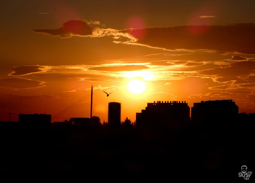zArAgOzA. ciUdAd iNmOrTal 24