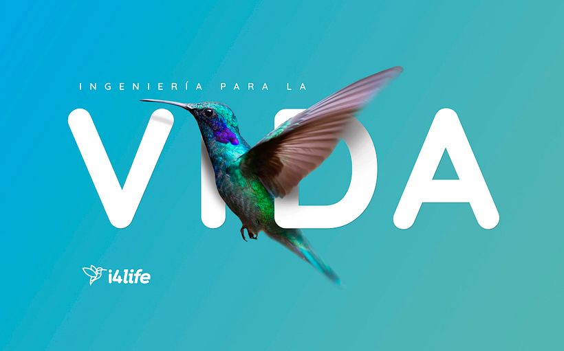 i4life. Imagen corporativa 13