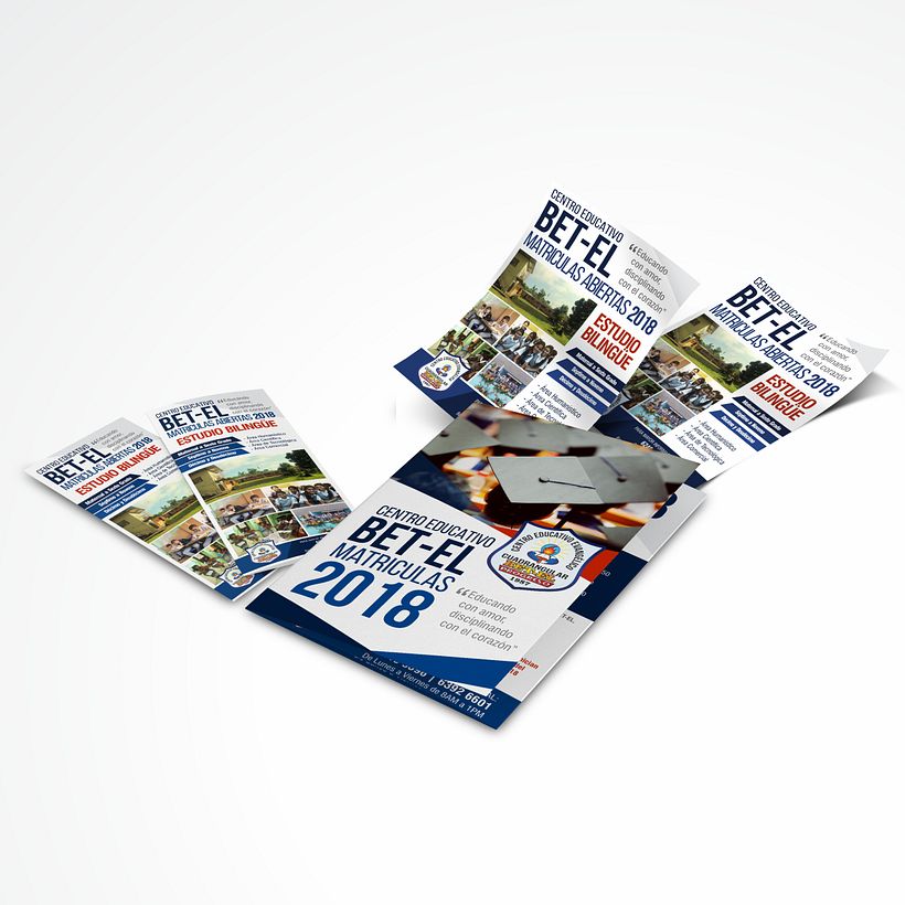 Flyers y Posters 0