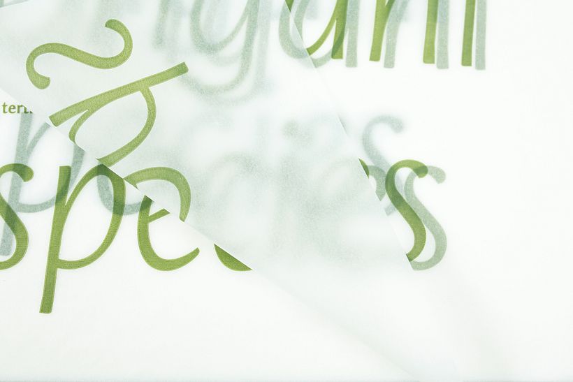 Orenga, tipos móviles de jabón 3