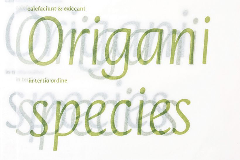 Orenga, tipos móviles de jabón 12