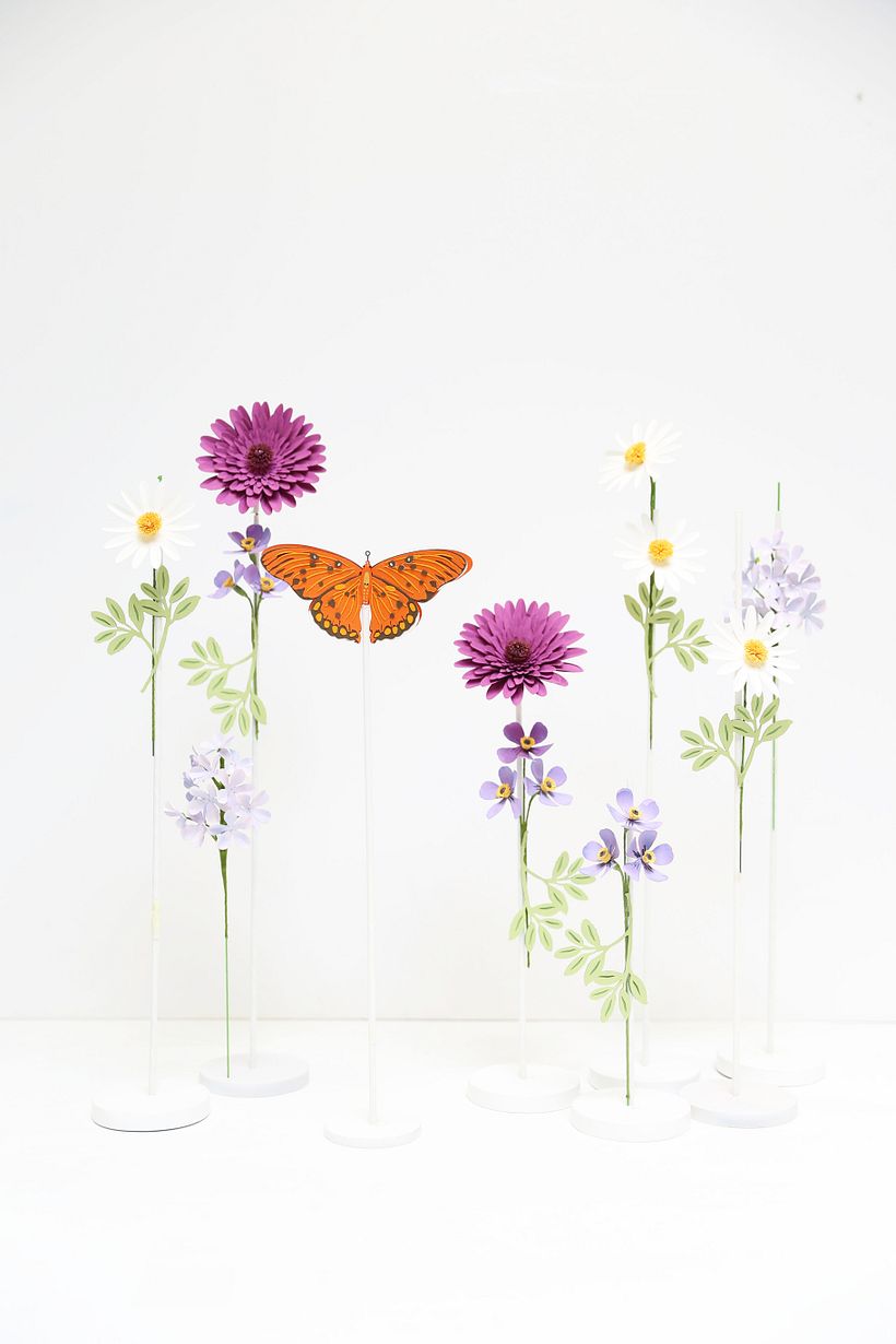 Mariposas. 0