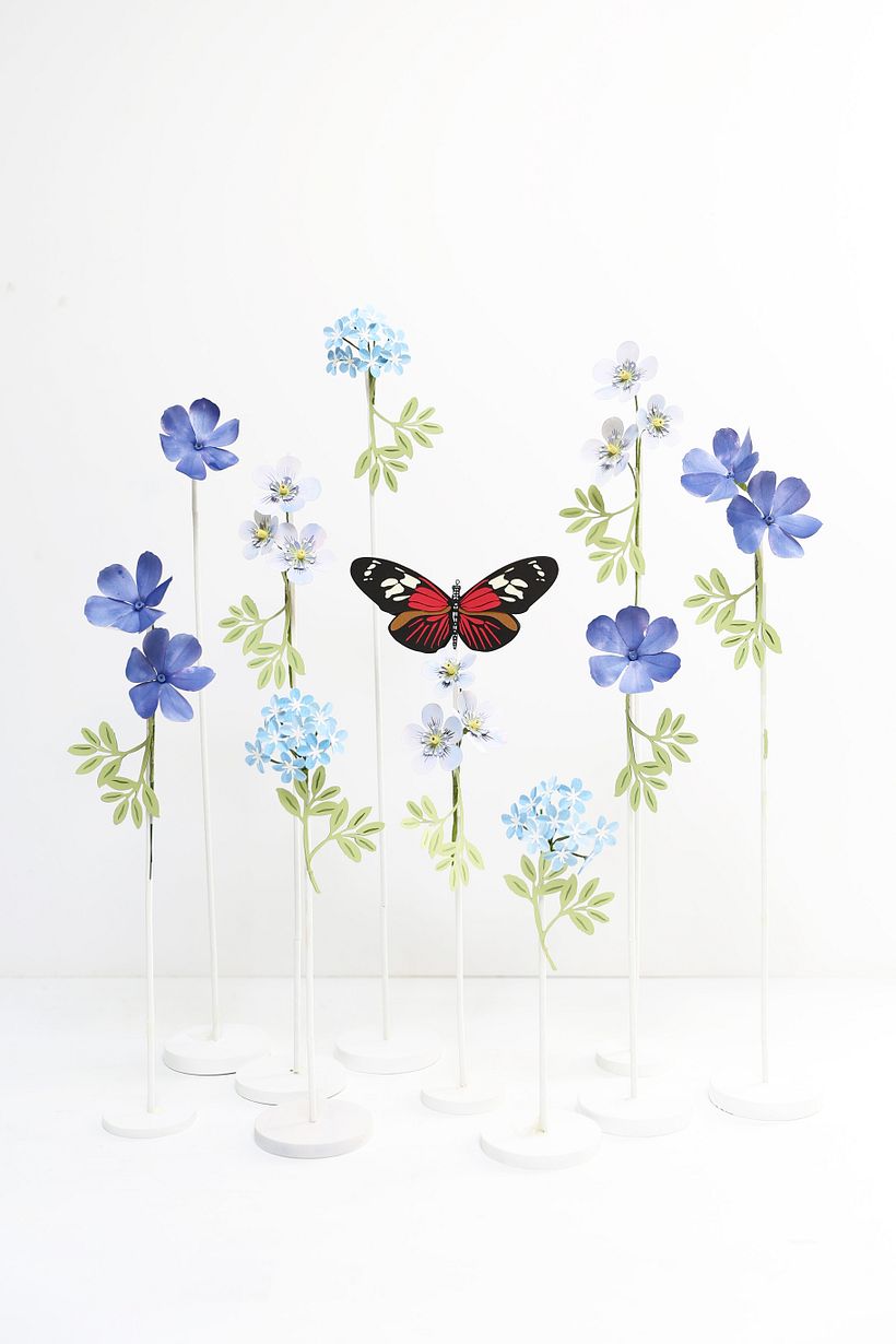 Mariposas. 2