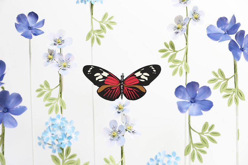 Mariposas. 3