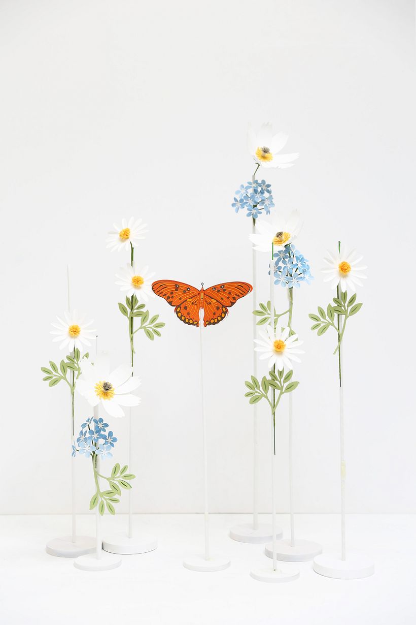 Mariposas. 5