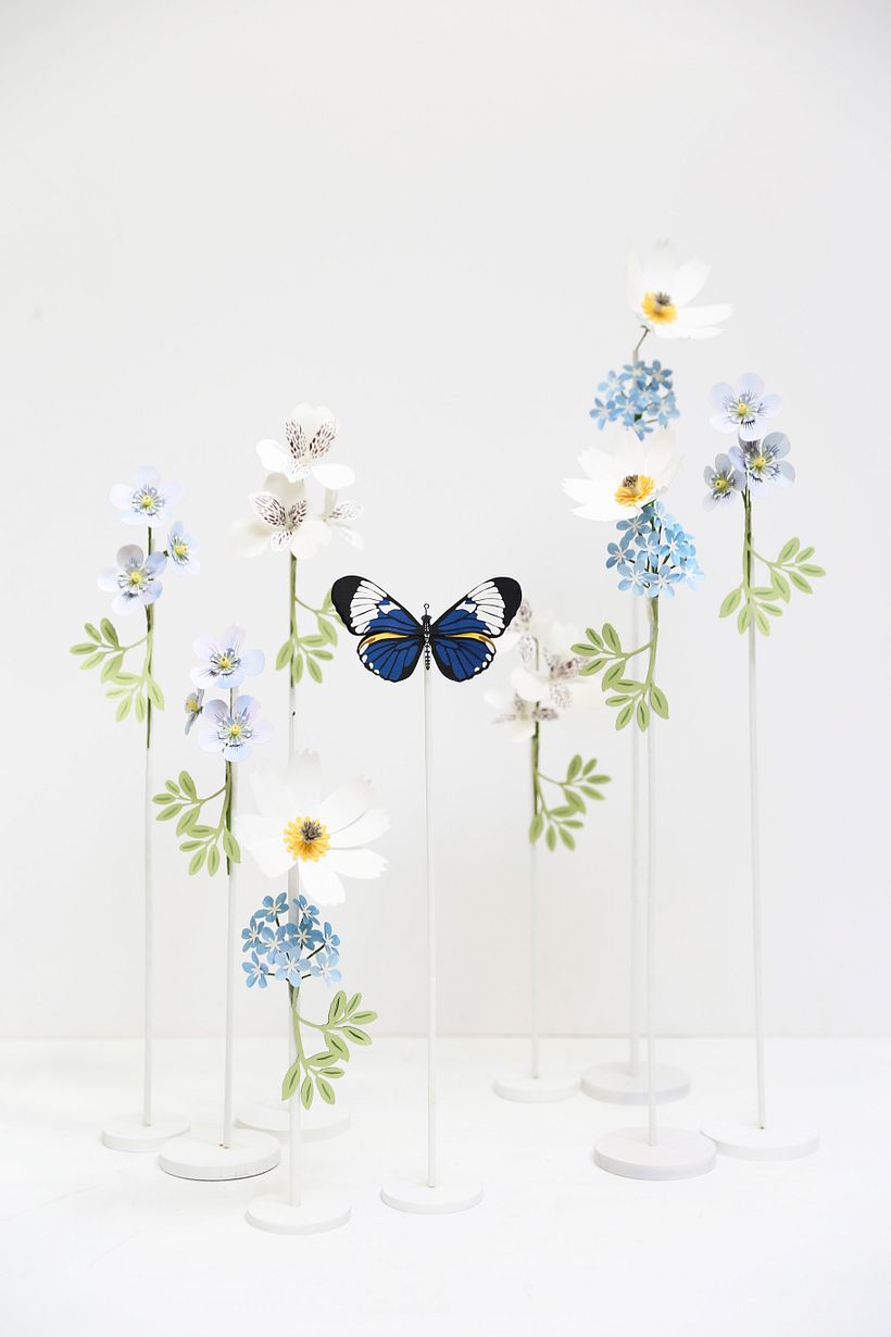 Mariposas. 6