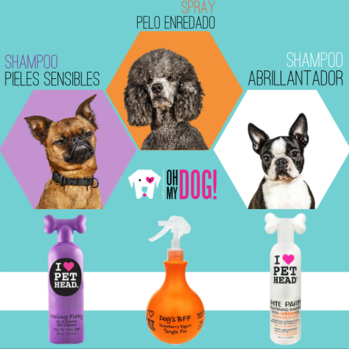 Oh My Dog! - Markalaşma ve Kimlik