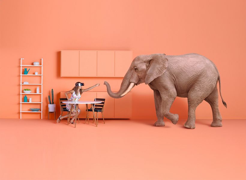 Jimmy Marble: un romance visual ente Marc Jacobs y Wes Anderson 10