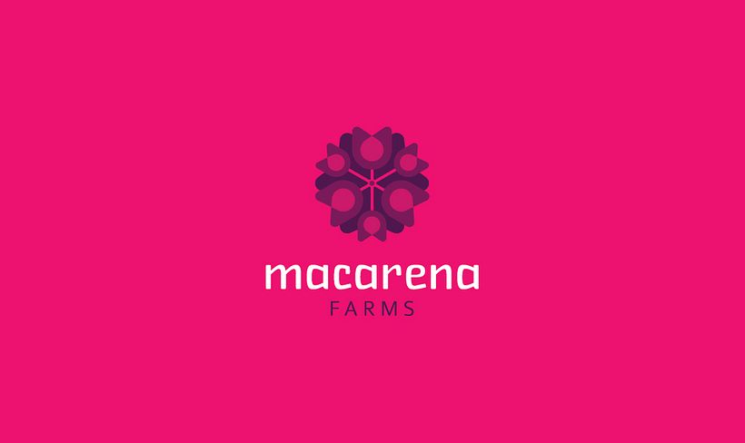 Logofolio 2017 15