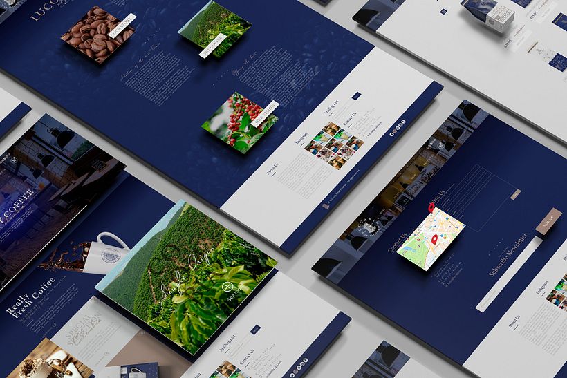 Luccari Specialty Coffee 38