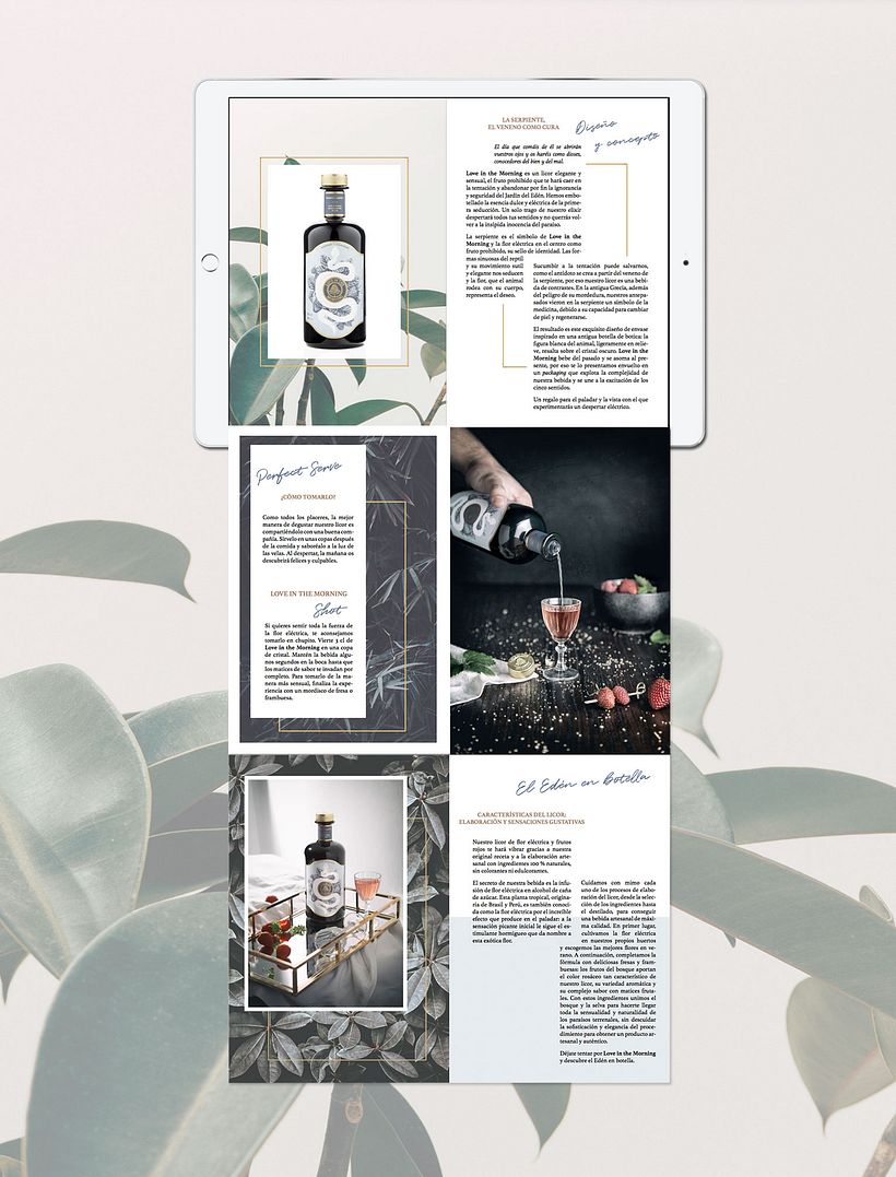 Love in the Morning, identidad y packaging 8