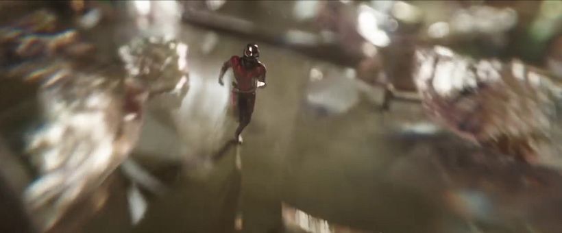 Ant-Man and the Wasp - Layout 4