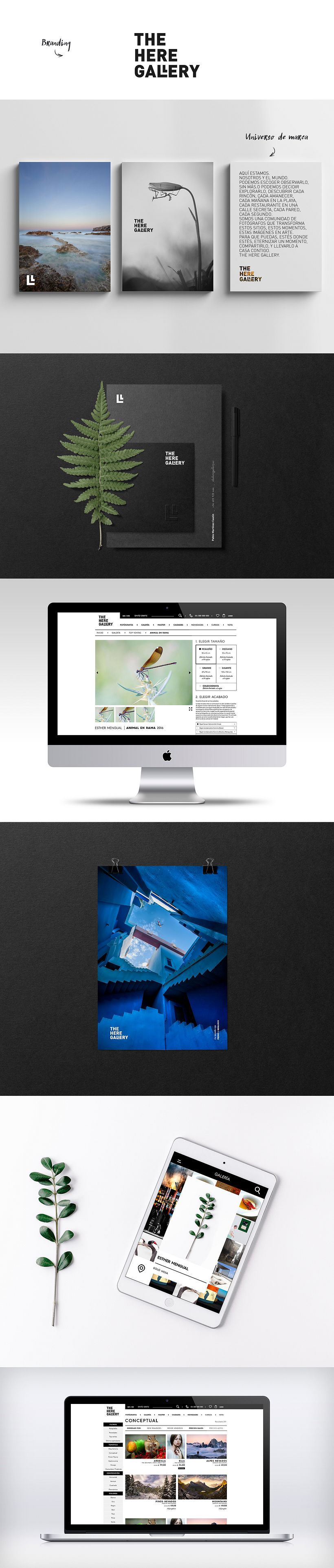 THE HERE GALLEY. Project 360º. 1
