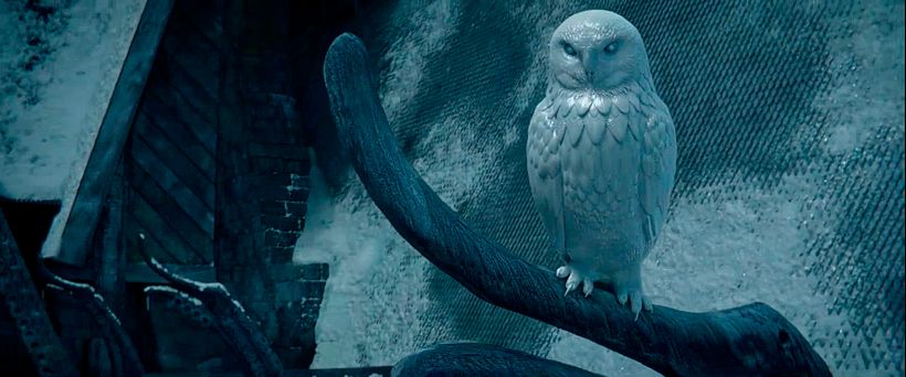 Huntsman Winters War - Layout 1