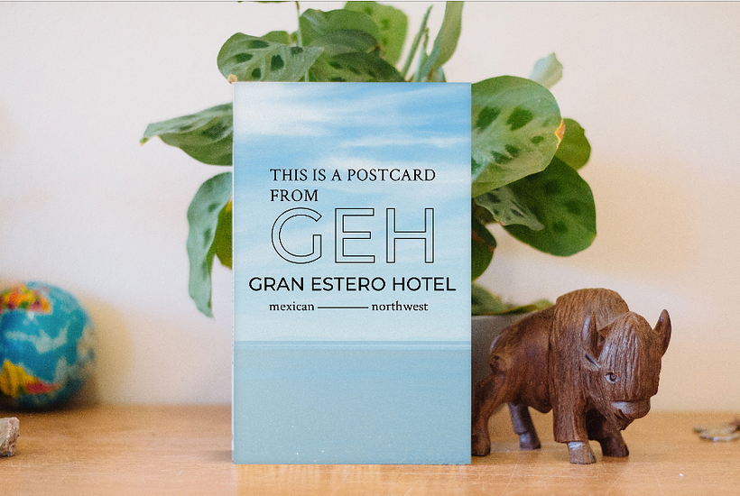 Gran Estero Hotel 5