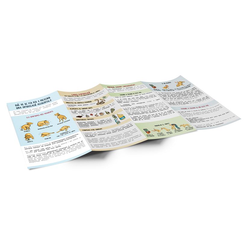 Campaña: Els Animals: Éssers Vius 2