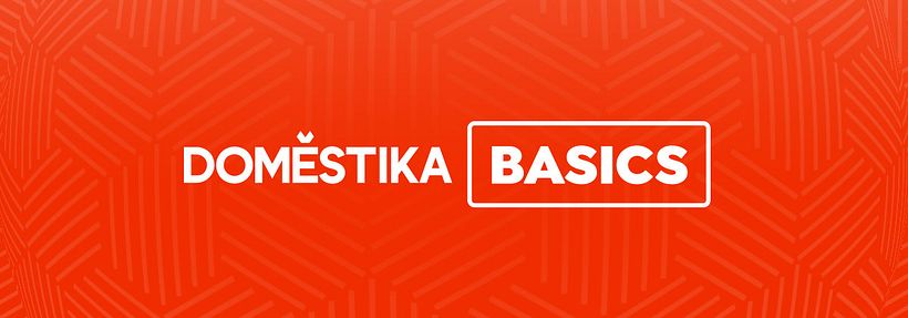 Domestika Basics: cursos para aprender a usar un software sin conocimientos previos 1