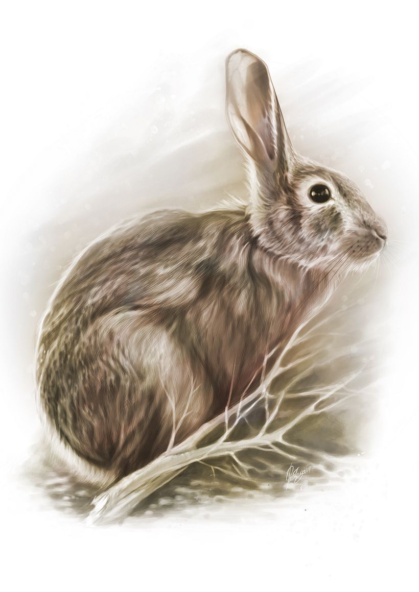 Ilustración Catalogo Caza -1