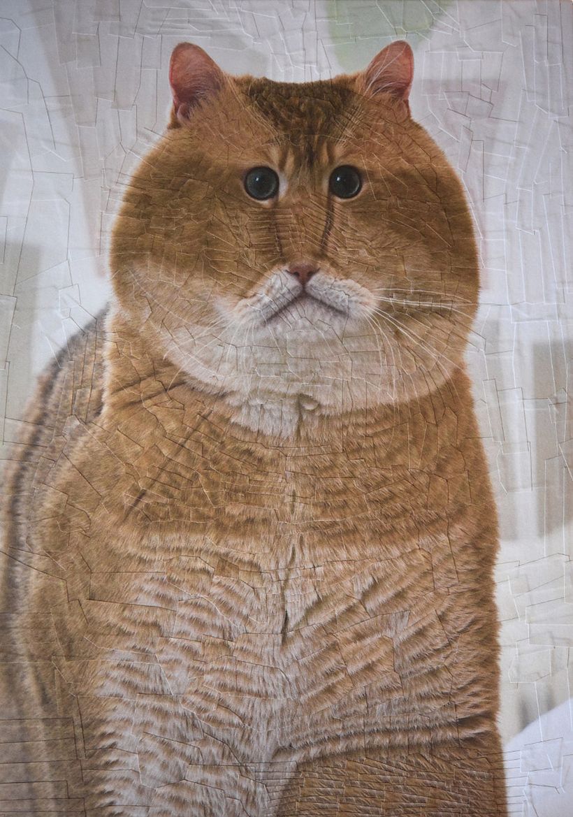 Lola Dupré se lanza al collage animal 5