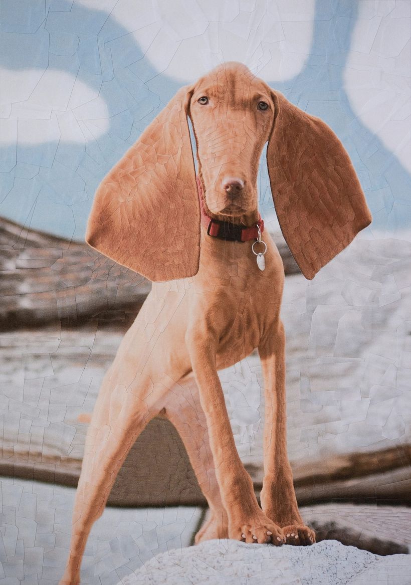 Lola Dupré se lanza al collage animal 6