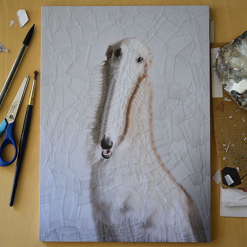 Lola Dupré se lanza al collage animal 8