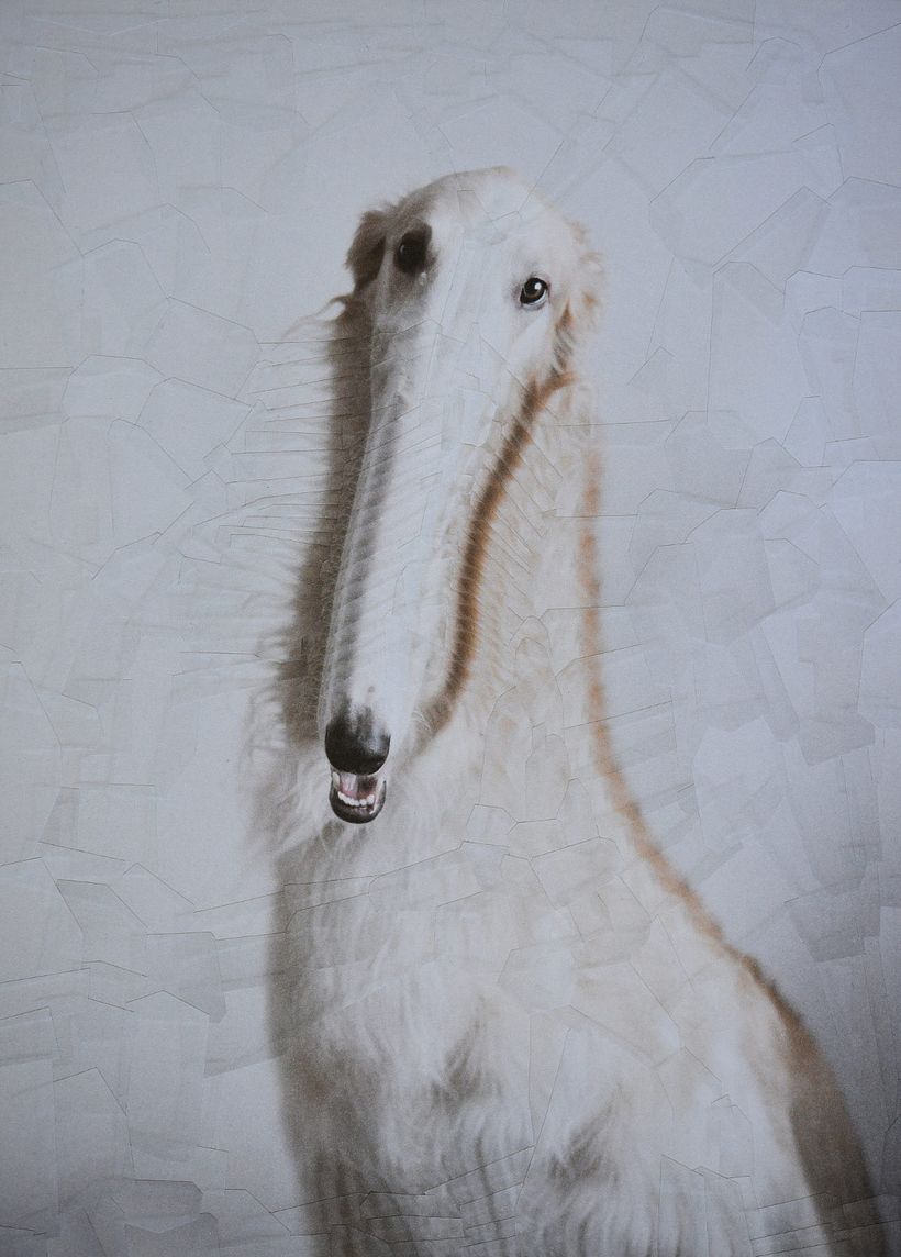 Lola Dupré se lanza al collage animal 11