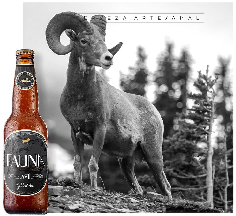 Identidad: Cerveza FAUNA 8