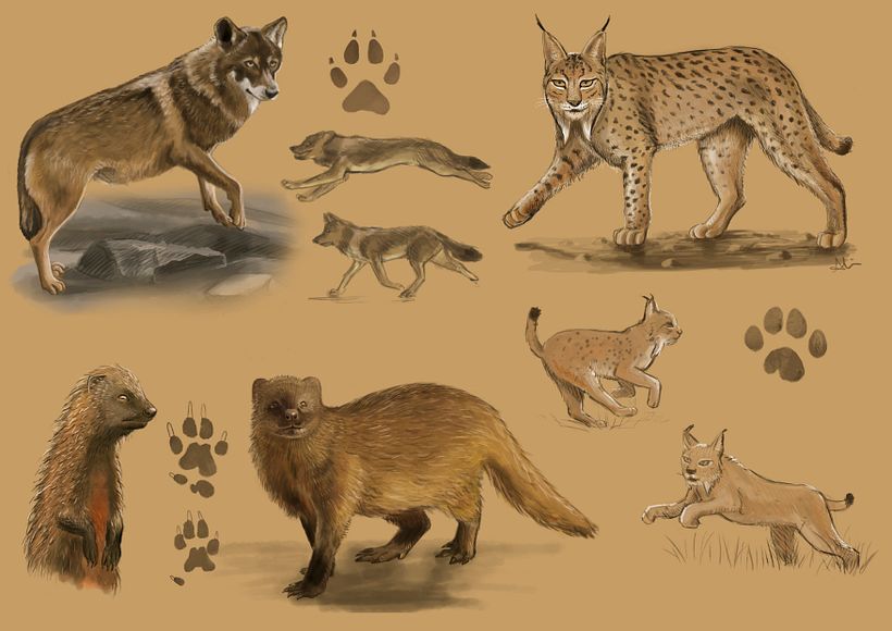 Animales 0