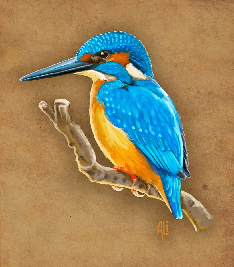 Animales 1