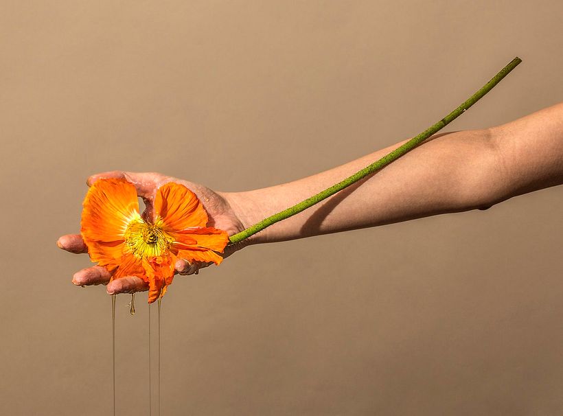 Suzanne Saroff: la belleza humana en equilibrio con la belleza de la naturaleza 1