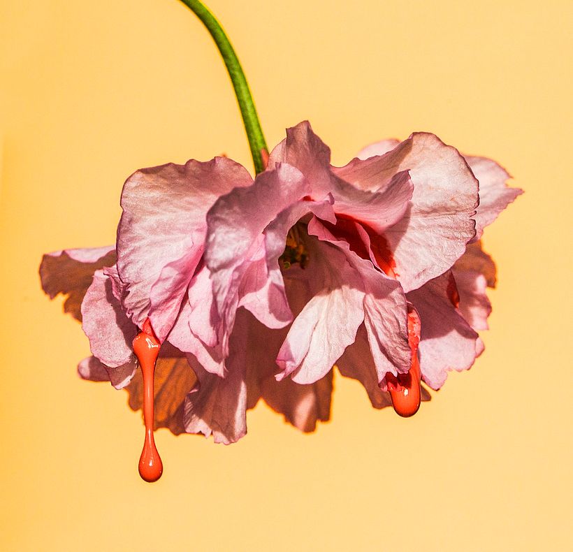 Suzanne Saroff: la belleza humana en equilibrio con la belleza de la naturaleza 6