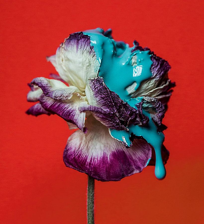 Suzanne Saroff: la belleza humana en equilibrio con la belleza de la naturaleza 8