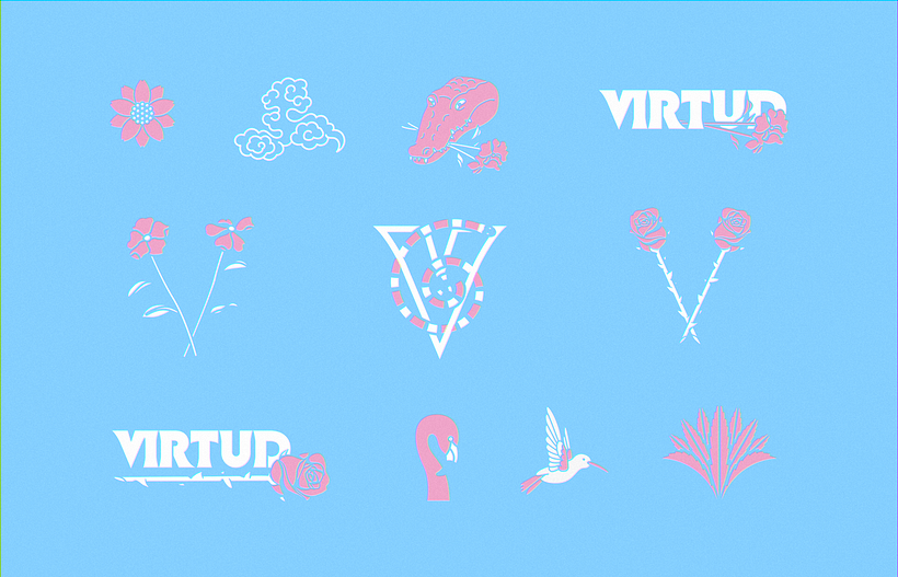Virtud Summer 2018 2