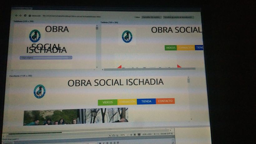 problema con el responsive 1