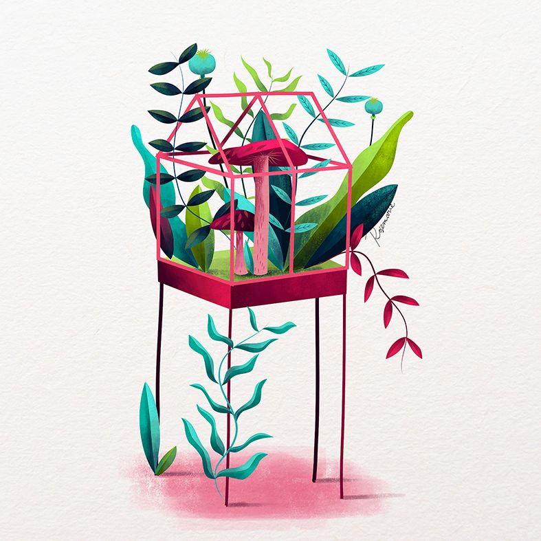 Personal project. -1
