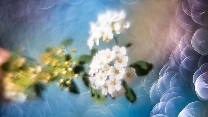 Crea tu propia lente para conseguir un bokeh mágico con tu cámara digital 2